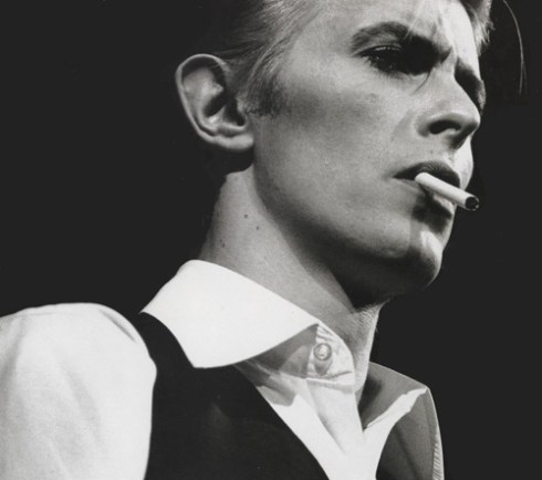 thin white duke david bowie