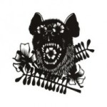 okkervil_river_rider rider